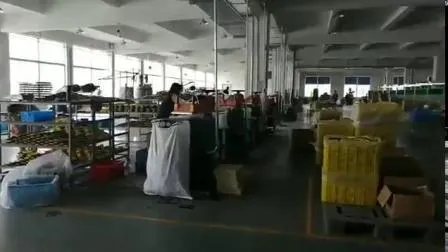 Hook Loop Backing Pad Orbital Sander Polisher Sanding Pad