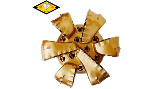 8 1/2'' (215.9mm) 6 Blades PDC Drill Bits PDC Bit for Well Drilling